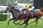 2015 Crown Oaks Day Results: Jameka Wins 2015 Crown Oaks 2015 Crown Oaks Day Results: Jameka Wins 2015 Crown Oaks