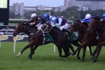 Capacity Hawkesbury Gold Cup Field Released Capacity Hawkesbury Gold Cup Field Released