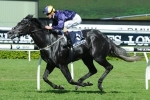 Emirates Stakes The Spring Target For Beauty’s Beast