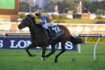 2014 Tattersall’s Tiara Tips: Cosmic Endeavour The Horse To Beat 2014 Tattersall’s Tiara Tips: Cosmic Endeavour The Horse To Beat