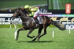 Veuvelicious To Begin Crown Oaks Campaign At Caulfield Veuvelicious To Begin Crown Oaks Campaign At Caulfield