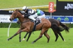 Everage On Track For Light Fingers Stakes Return