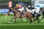 Kellnni to back up in Sydney Cup