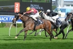 Kelinni’s Melbourne Cup Campaign Back On Track After Barrier Trial Win Kelinni’s Melbourne Cup Campaign Back On Track After Barrier Trial Win