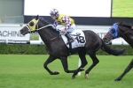 Waller’s winning run continues with Sacred Falls in the Doncaster