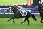 Sacred Falls Ready For Canterbury Stakes Return Sacred Falls Ready For Canterbury Stakes Return