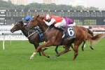 Clarke gives Lightinthenite great chance to win back to back Darwin Cups Clarke gives Lightinthenite great chance to win back to back Darwin Cups