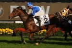 More Joyous retired, booked a date with Frankel More Joyous retired, booked a date with Frankel