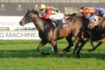 Gollan Hoping For Some Rain Before The Challenge Stakes