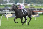 Arabian Gold Set For The Doomben Roses Arabian Gold Set For The Doomben Roses