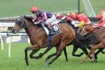 Cox Plate a chance for Thousand Guineas fancy Go Indy Go