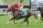 Hot Snitzel Impresses In Trackwork Before Doomben 10,000