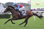 Spillway out of Caulfield Cup contention Spillway out of Caulfield Cup contention