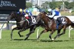 Usainity to head to Queensland after Frank Packer win