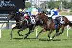 Usainity to head to Queensland after Frank Packer win Usainity to head to Queensland after Frank Packer win