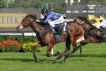 Atlantic Jewel not fully wound up for Memsie Stakes Atlantic Jewel not fully wound up for Memsie Stakes
