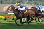 Niwot Heads Strong Canberra Cup Field