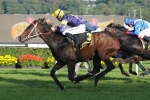 Niwot Heads Strong Canberra Cup Field Niwot Heads Strong Canberra Cup Field
