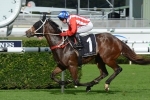 Waller Wins Another Wyong Cup With Beyond Thankful