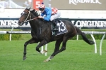 La Amistad Included In Rowley Mile Field La Amistad Included In Rowley Mile Field