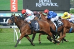Off The Rails ready for staying test in Australia Day Cup Off The Rails ready for staying test in Australia Day Cup