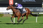 Queenstown Too Good In Grafton Cup Queenstown Too Good In Grafton Cup