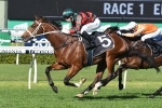 The Autumn Sun clear favourite in 2018 Caulfield Guineas betting