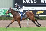 Class and distance suits My True Love in Sunshine Coast Guineas