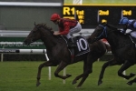 Cummings Pleased with Smart Thousand Guineas Fillies Cummings Pleased with Smart Thousand Guineas Fillies