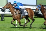 The Metropolitan On The Agenda For Magic Hurricane The Metropolitan On The Agenda For Magic Hurricane