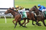 Spill The Beans Hard to Beat in QTC Cup