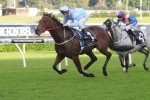 Avoid Lightning Impresses In Trackwork Before Tattersall’s Tiara Avoid Lightning Impresses In Trackwork Before Tattersall’s Tiara