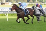 Avoid Lightning Impresses In Trackwork Before Tattersall’s Tiara