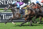 Waller to saddle up 3 runners in Winter Challenge Waller to saddle up 3 runners in Winter Challenge