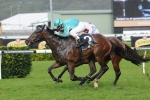 Fast Pace To Suit Northern Glory In Magic Millions Guineas Fast Pace To Suit Northern Glory In Magic Millions Guineas