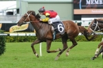 Parker Expecting Improved Effort From Planet Purple In Sandown Cup Parker Expecting Improved Effort From Planet Purple In Sandown Cup