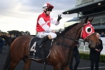 Southern Lad needs drying track for overdue win in 2020 Ramornie Handicap