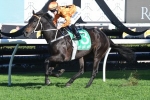 Sound Proposition can gain Doncaster Mile start with Prelude win