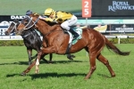 Outside Draw To Suit Noela’s Choice In Winter Stakes