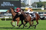 Cummings has ambitious Spring Carnival plans for Skyline Blush Cummings has ambitious Spring Carnival plans for Skyline Blush