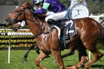 Golden Rose Stakes a possibility for Excellent Proposal