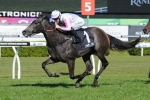 Arabian Gold Faces Steep Class Rise In Tea Rose Stakes Arabian Gold Faces Steep Class Rise In Tea Rose Stakes