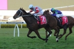 Pride runners relish wet track for T J Smith Stakes Pride runners relish wet track for T J Smith Stakes
