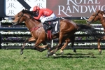 Stradbroke Handicap off limits for Military Zone, Golden Eagle in his sights
