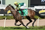 Care To Think breathing easy for second up run in Lough Neagh Stakes