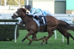 Quality Sprinters To Resume In Razor Sharp Handicap