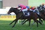 Fitness Edge Key For Burbero In Warwick Stakes Fitness Edge Key For Burbero In Warwick Stakes