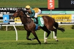 Tegan Harrison back on Echo Gal in Gai Waterhouse Classic Tegan Harrison back on Echo Gal in Gai Waterhouse Classic