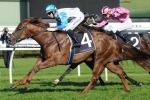 Sebring Sun To Improve Again In Up And Coming Stakes