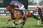 Epsom Handicap On The Agenda For As Needed